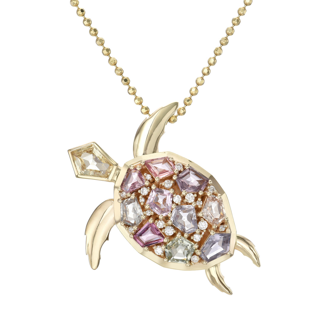 Mosaic Turtle